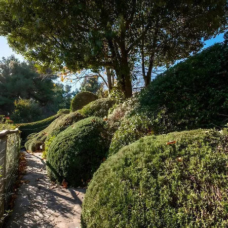 Vakantiehuis Sweet Tuscany